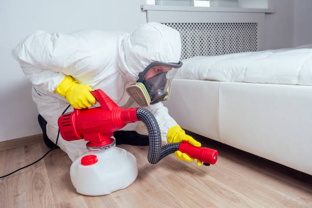 Best Pest Removal Services  in Two Harbors, MN